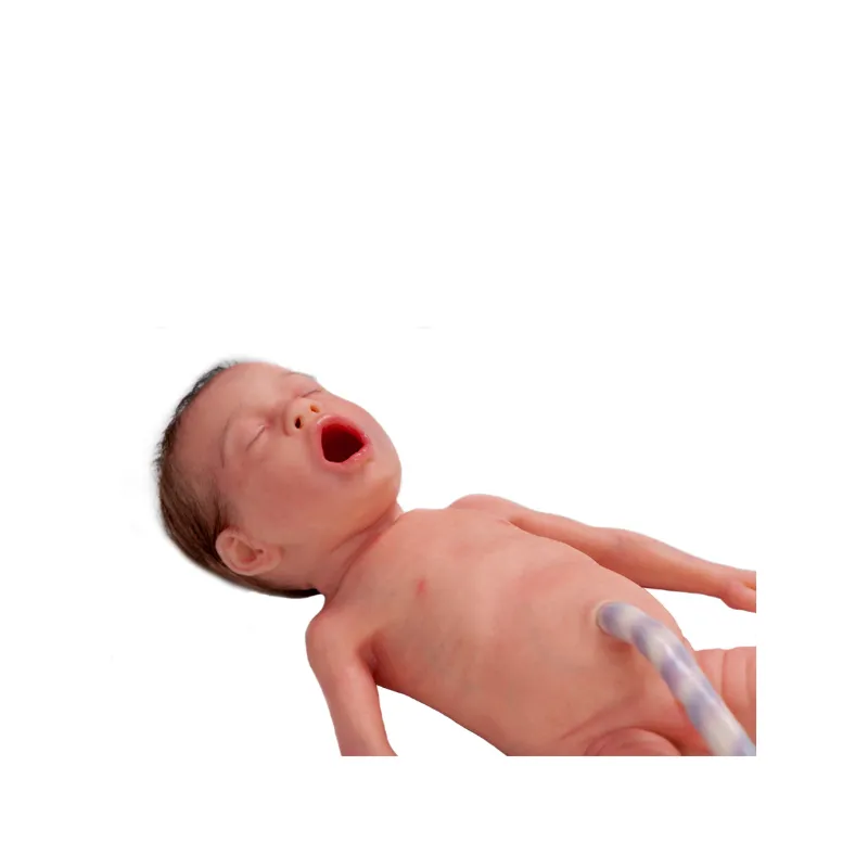 Fantom wcześniaka Infant Lifecast